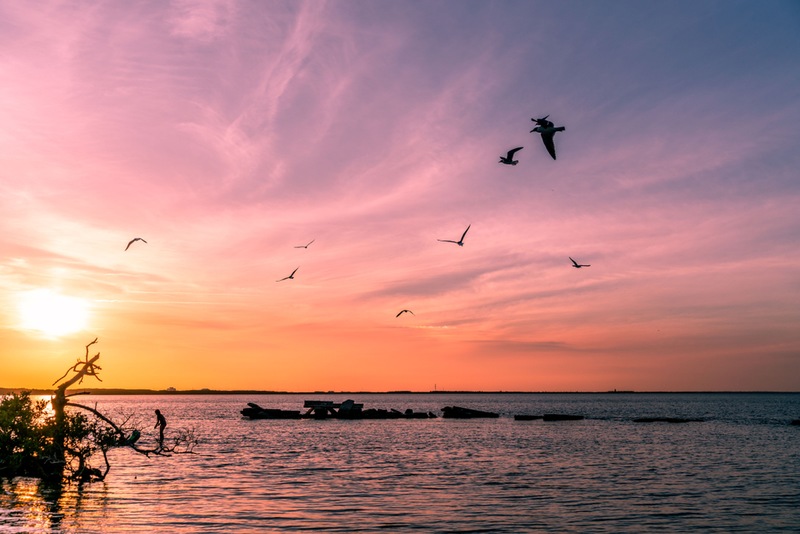 See the Central Florida Seasons by Air