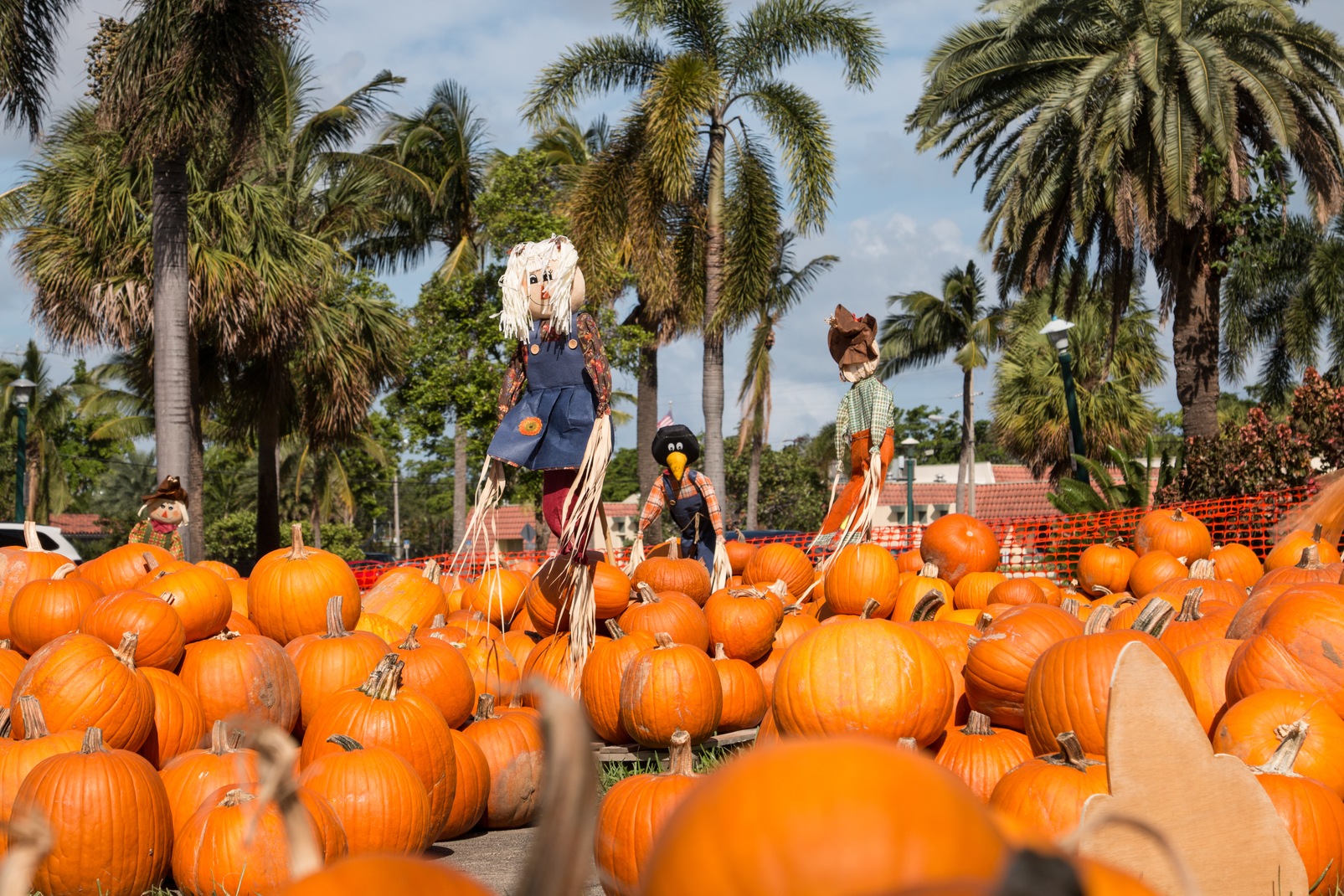 best places to visit florida in october